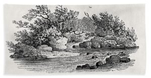 Thomas Bewick engraving 1804