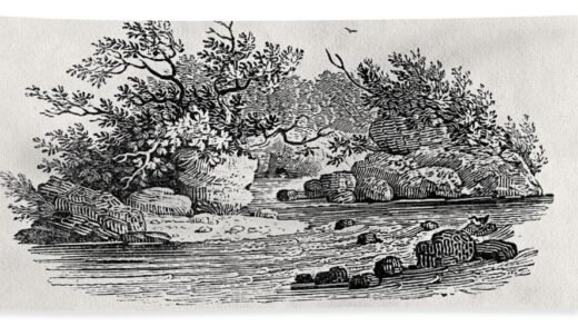 Thomas Bewick engraving 1804