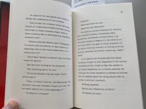 PPages 128-9 of Don DeLillo's "The Silence"