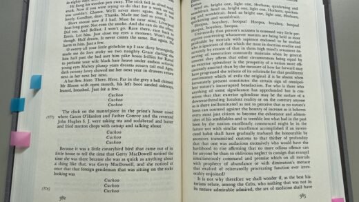 joyce ulysses page 382 83 Reading Ulysses' "Oxen of the Sun" (to oneself, aloud, and just in general)