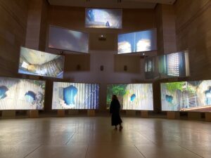 Julian Isaac's video installation at the Philadelphia Museum of Art, March 5th, 2023
