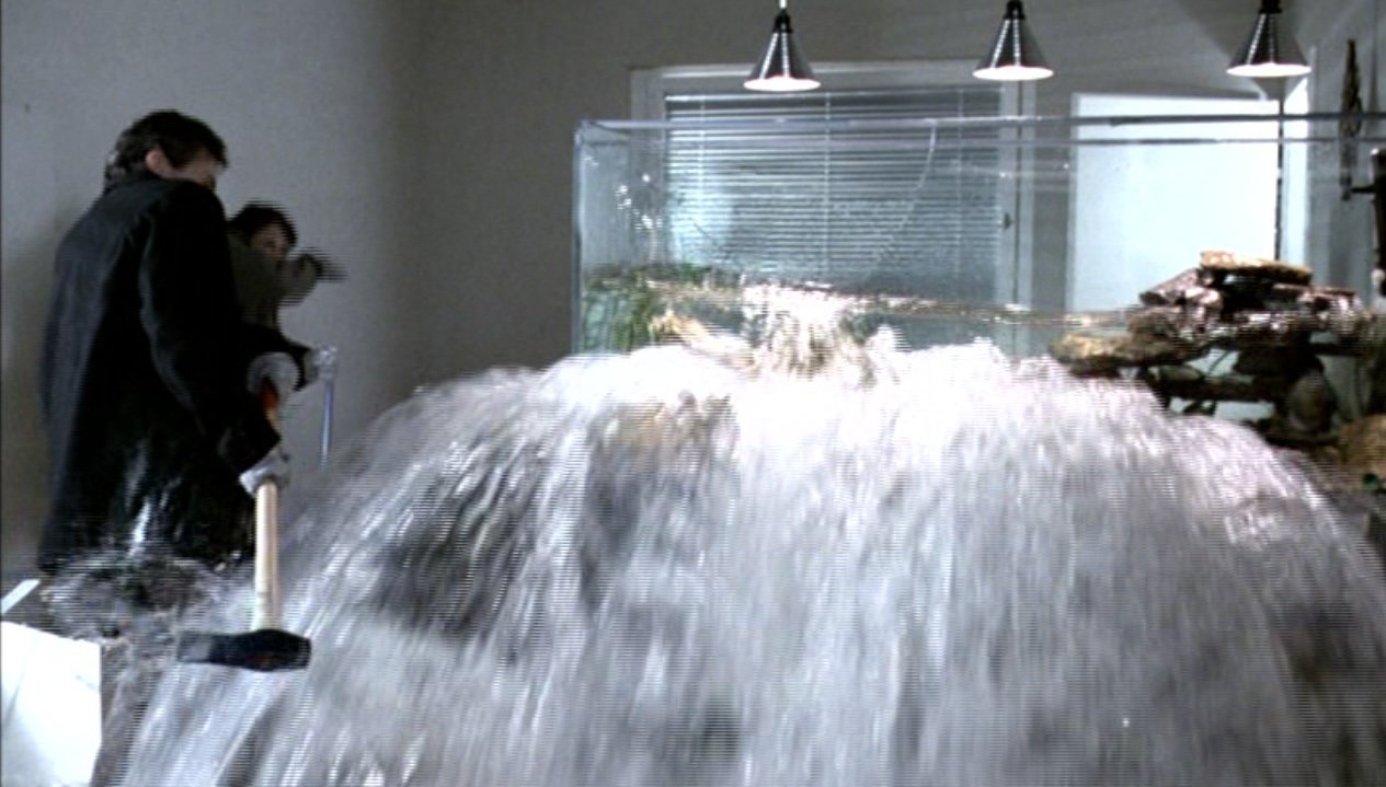 Still from the 1989 Michael Haneke film The Seventh Continent in which the beloved fishtank is destroyed